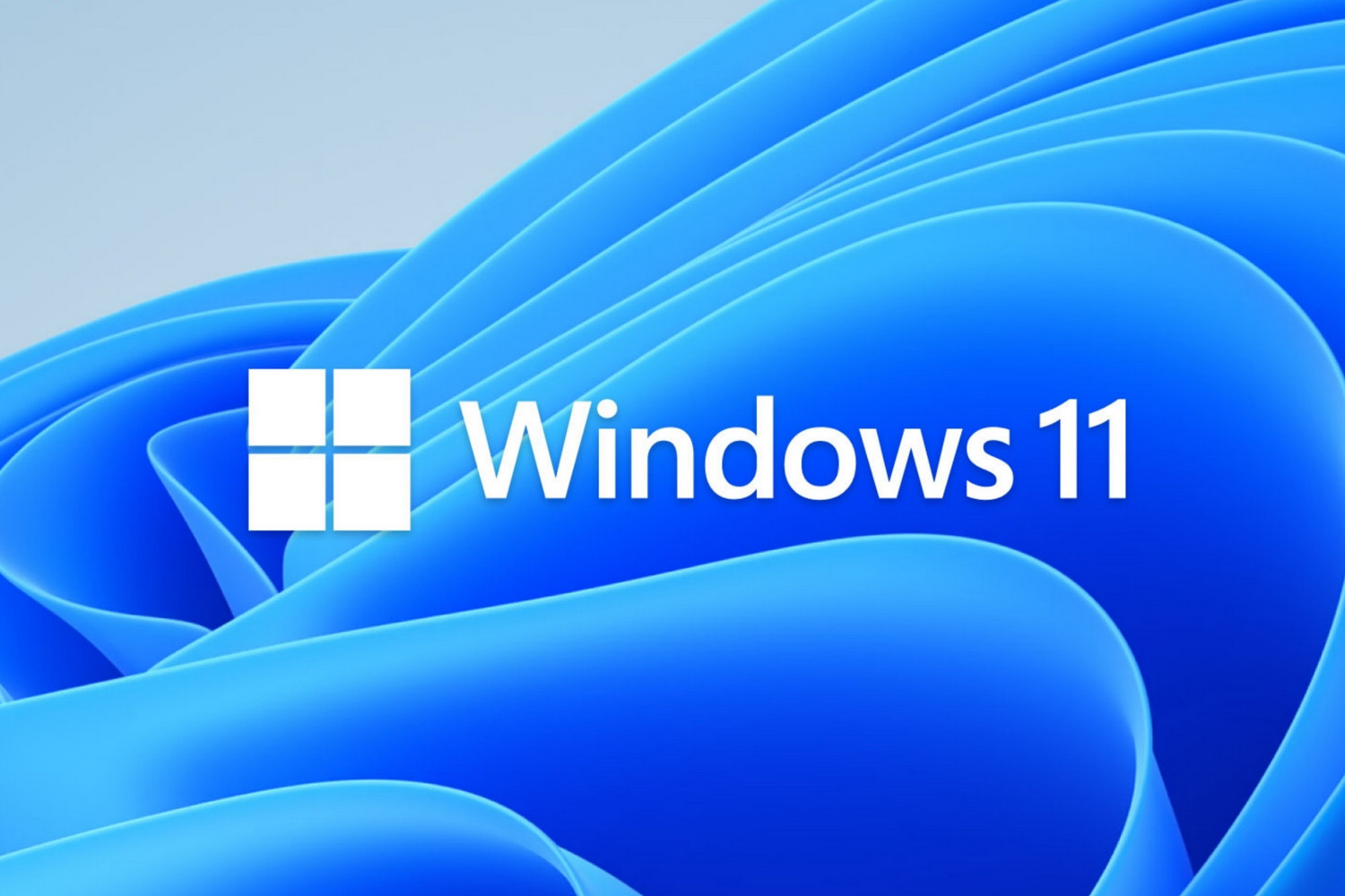 windows110142