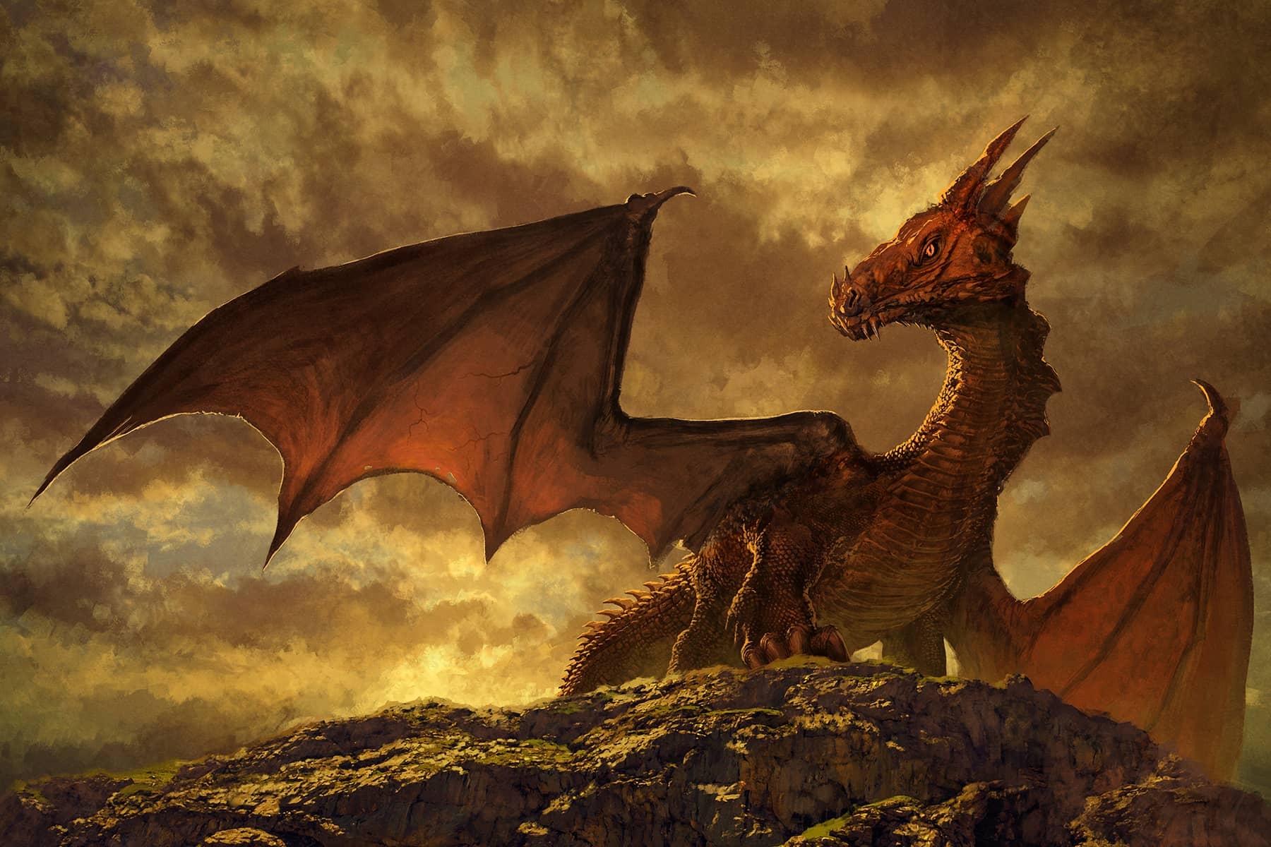 090222therebedragonsstktstudi