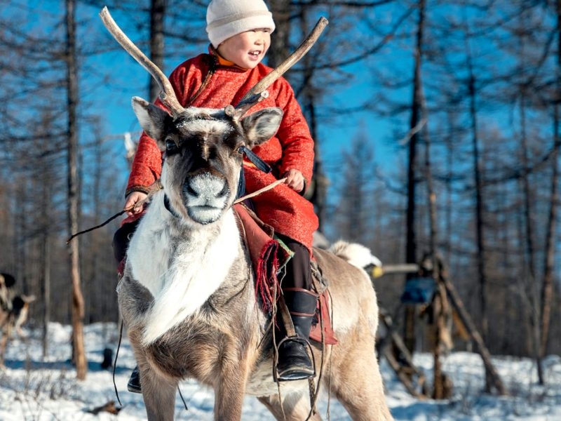 reindeer kid pose 800x600