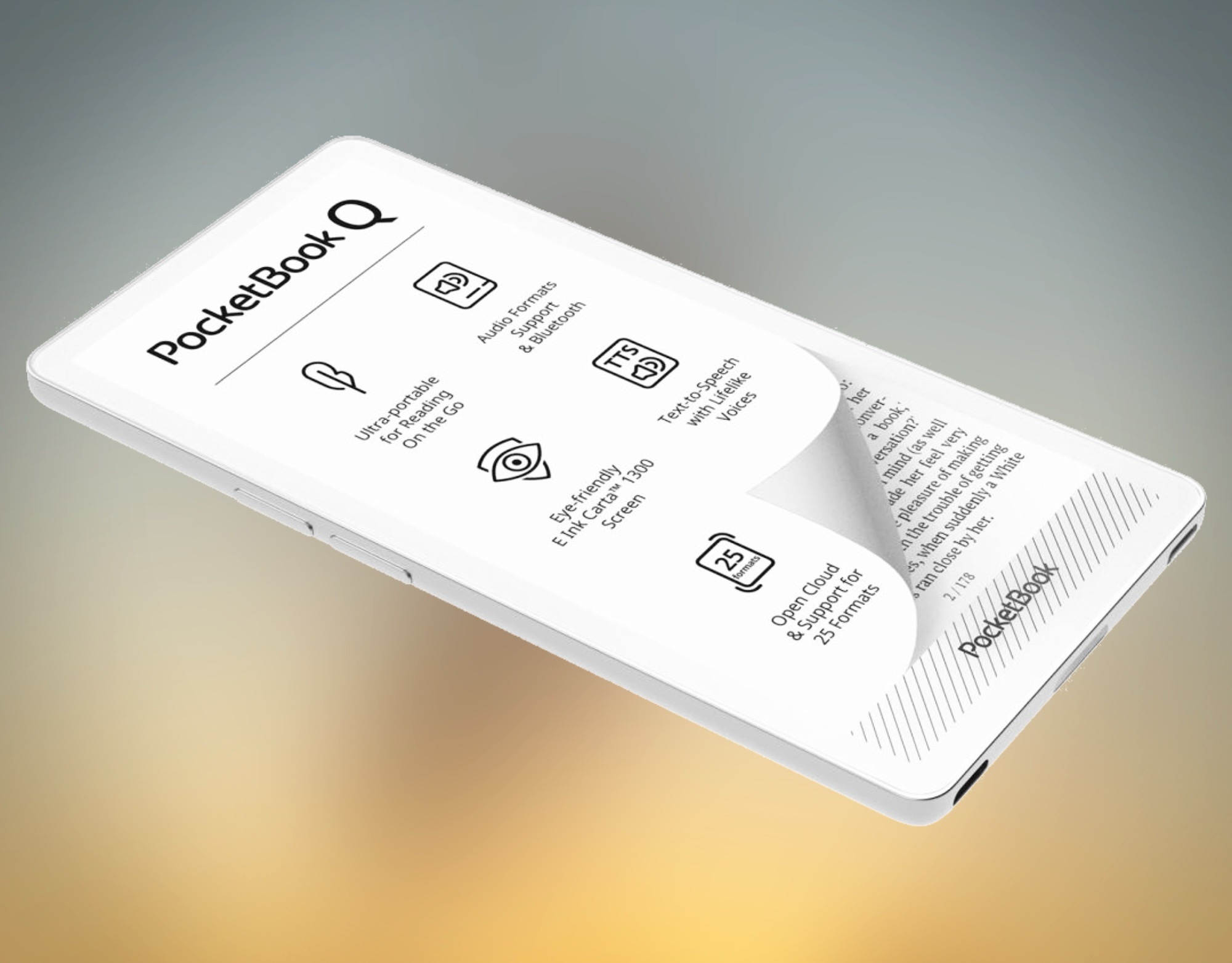 pocketbook q