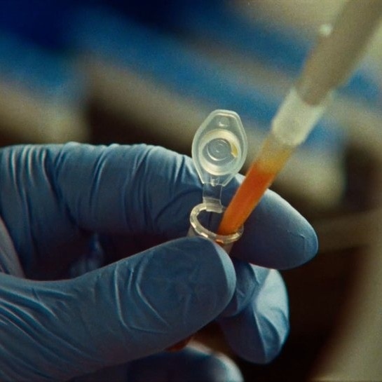 claude discover novel enzyme system photo wwwant