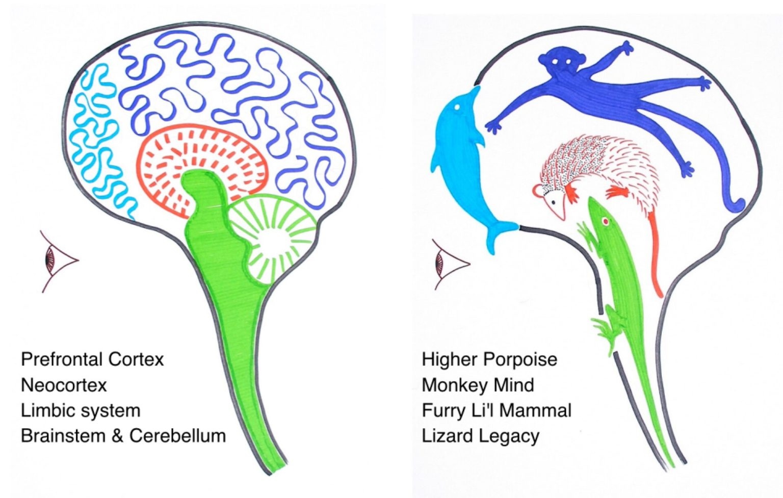 quadrunebrainwithanimalnames 1536x977
