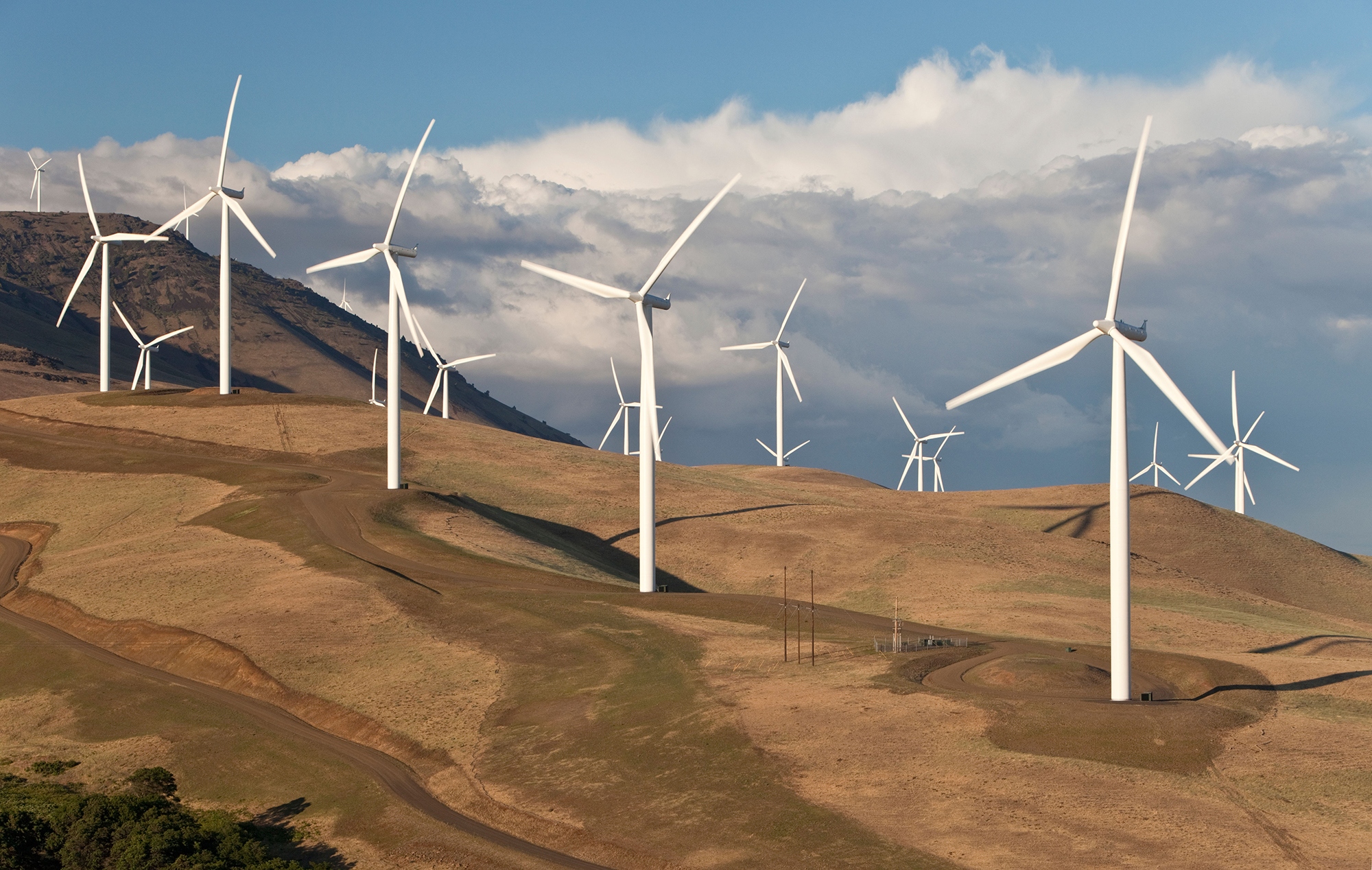 wind farm