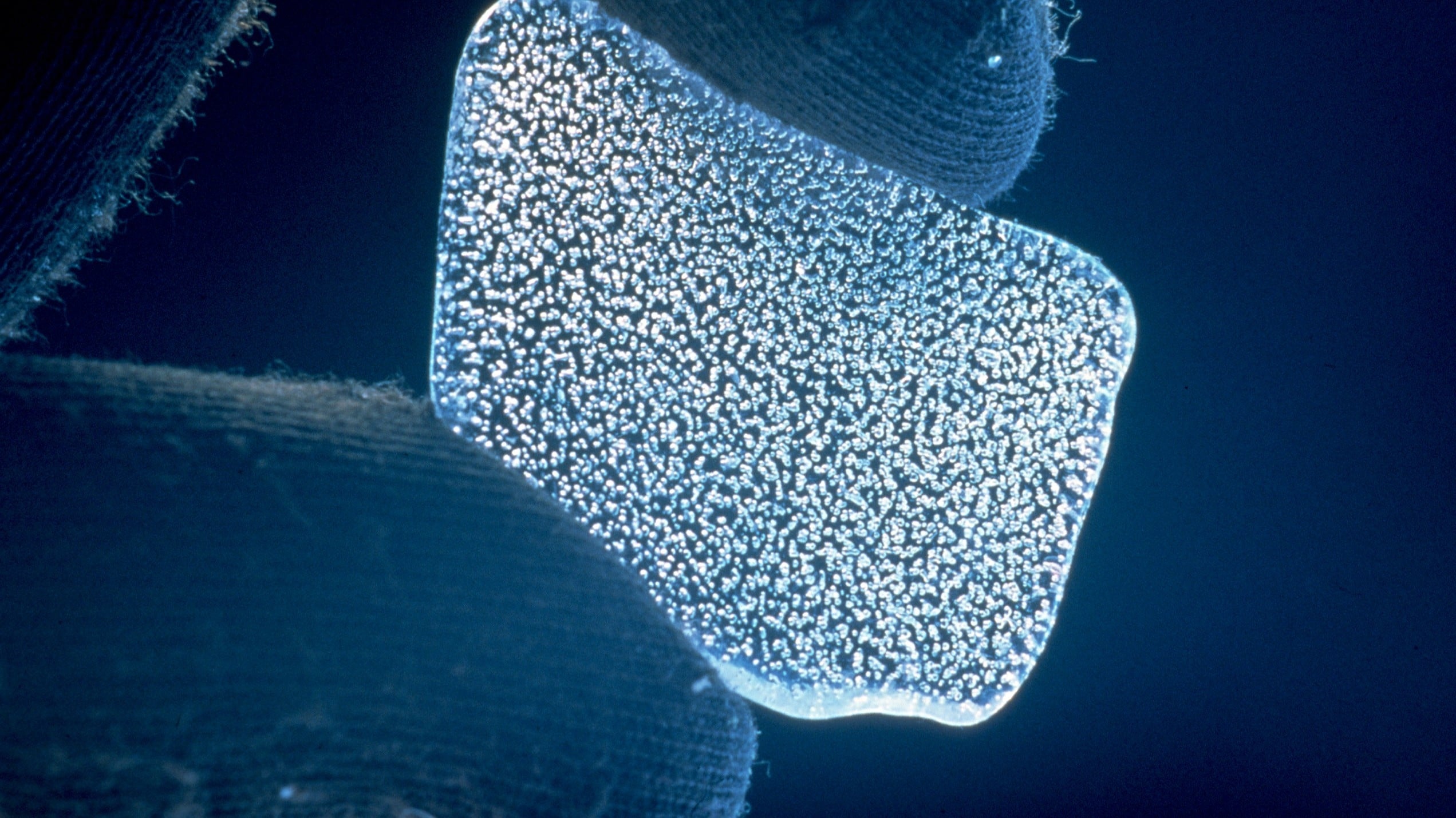 ice core air featured bubbles in ice