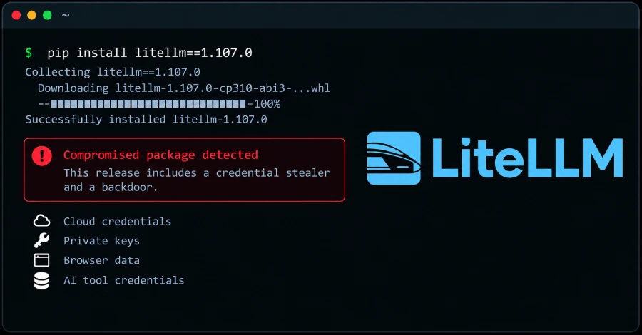 litellm hack