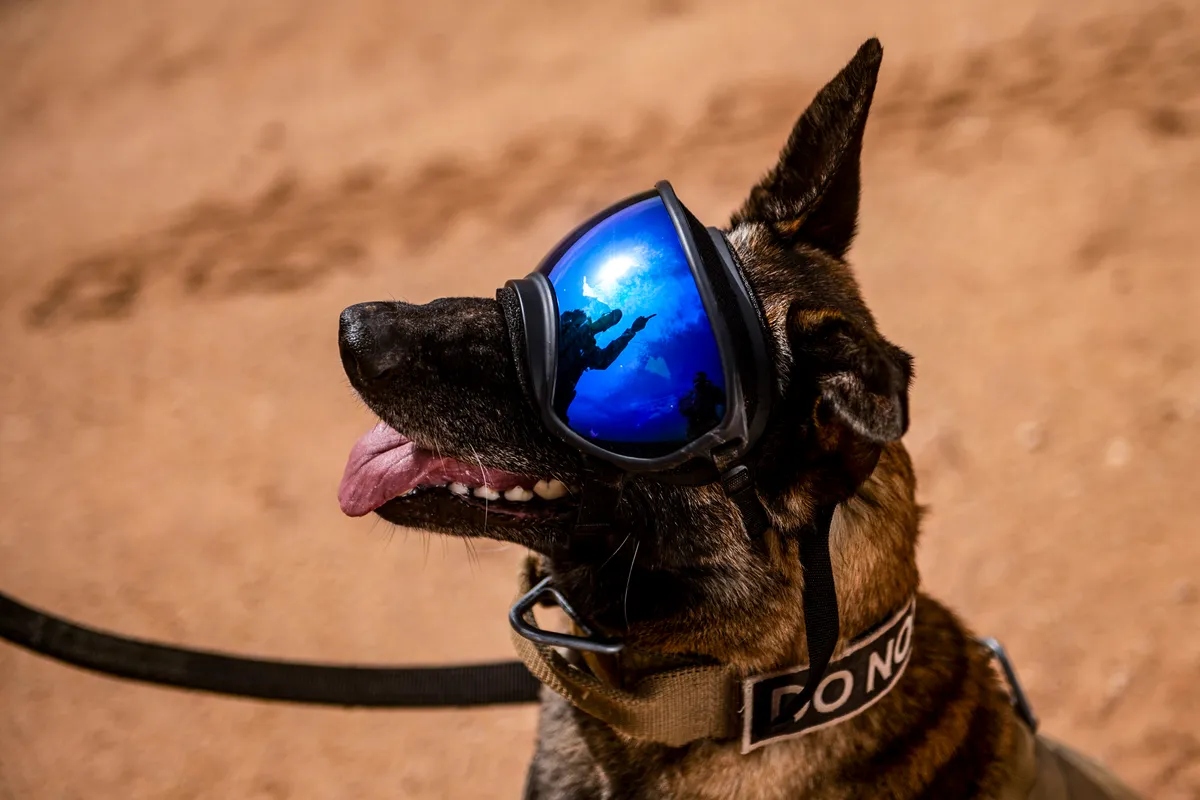 war dogs l