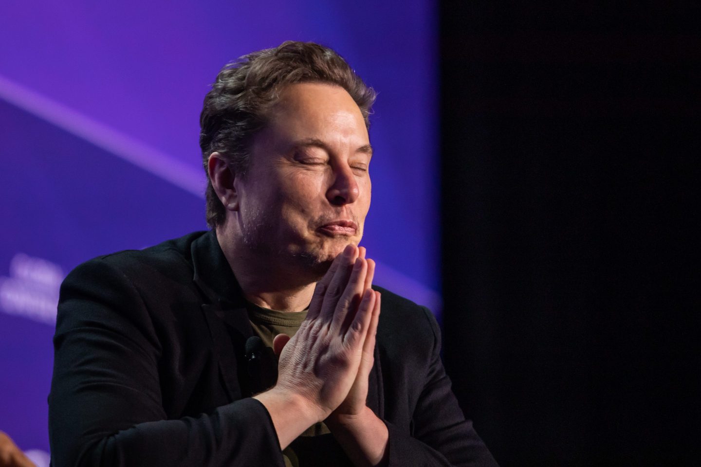 elon musk tesla 2