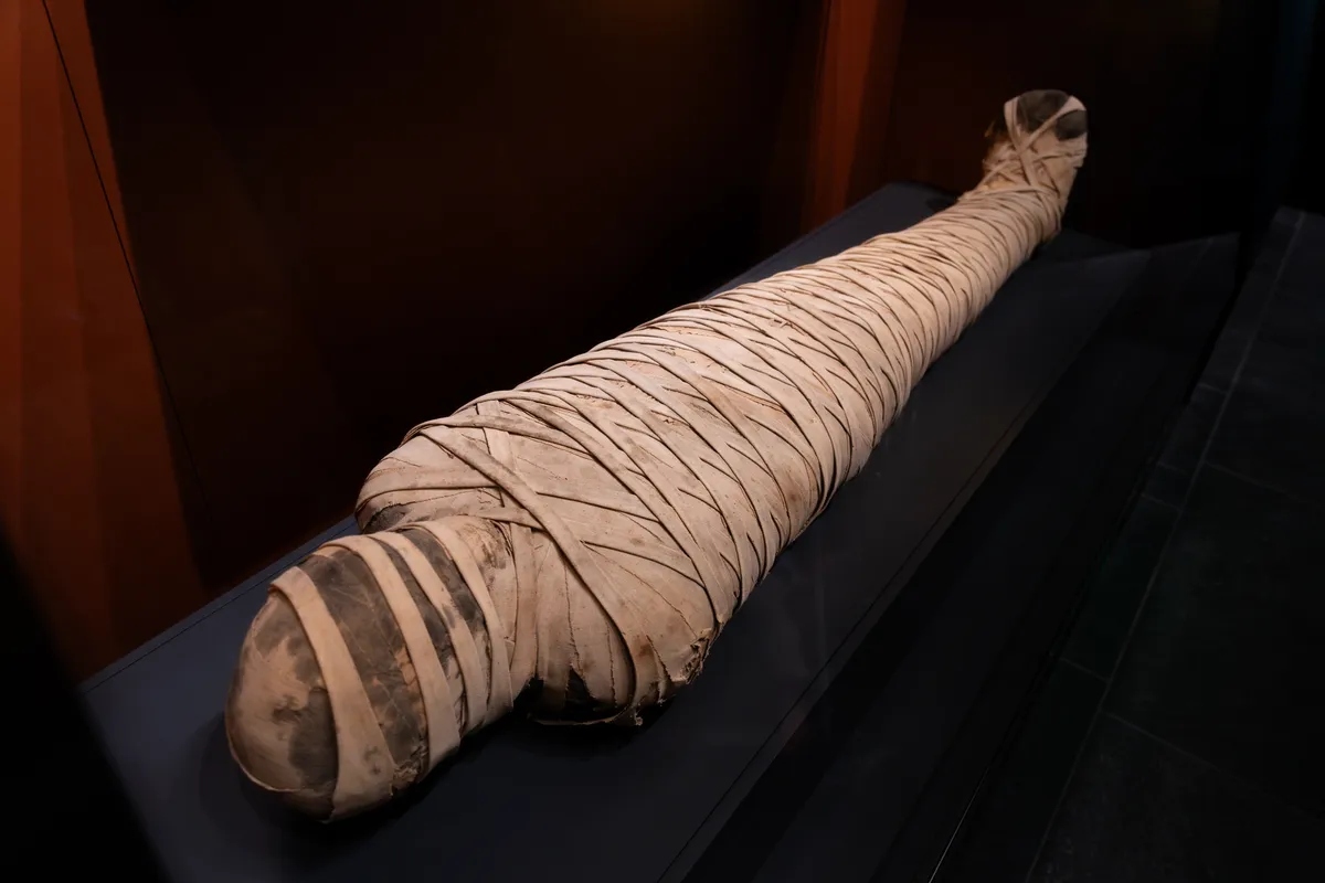 ancient egyptain mummy l
