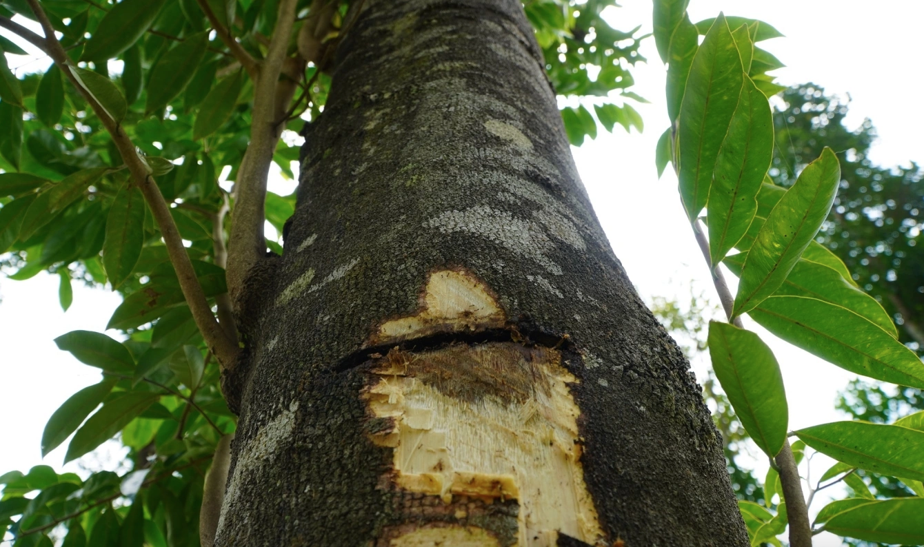 anh chup man hinh 2025 03 29 luc 144950