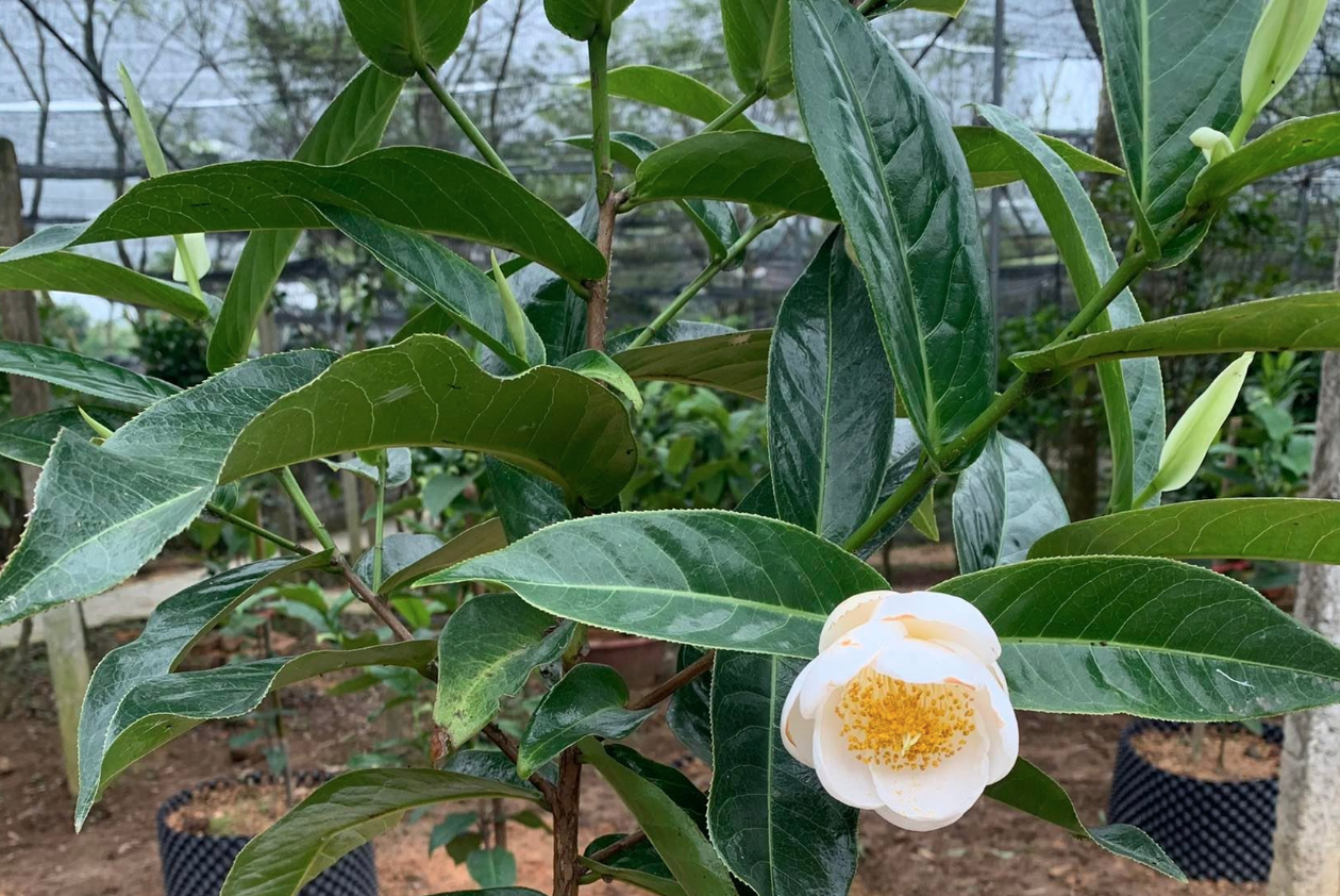 anh chup man hinh 2025 04 11 luc 150404