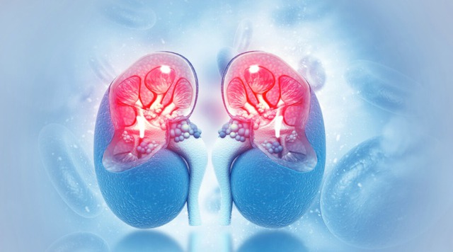 hoi chung than hu 169044233559638263874395863191