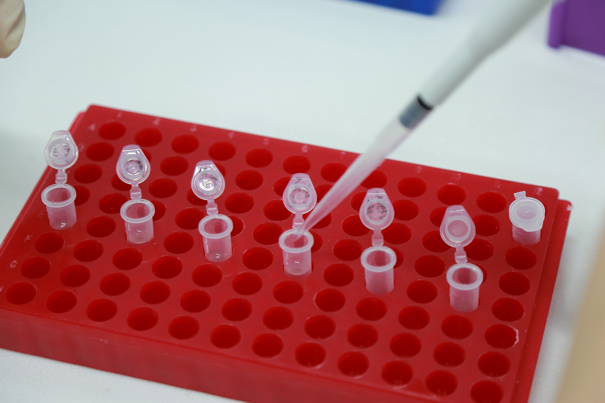 650530023259490330513845131101424448892849563n