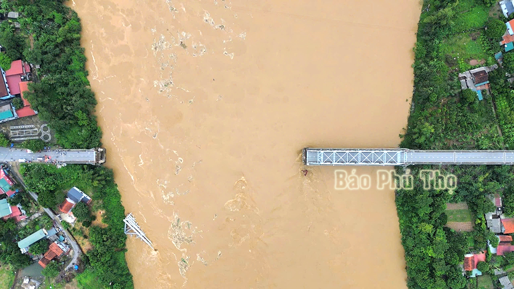 111d1114614t2885l8 cau