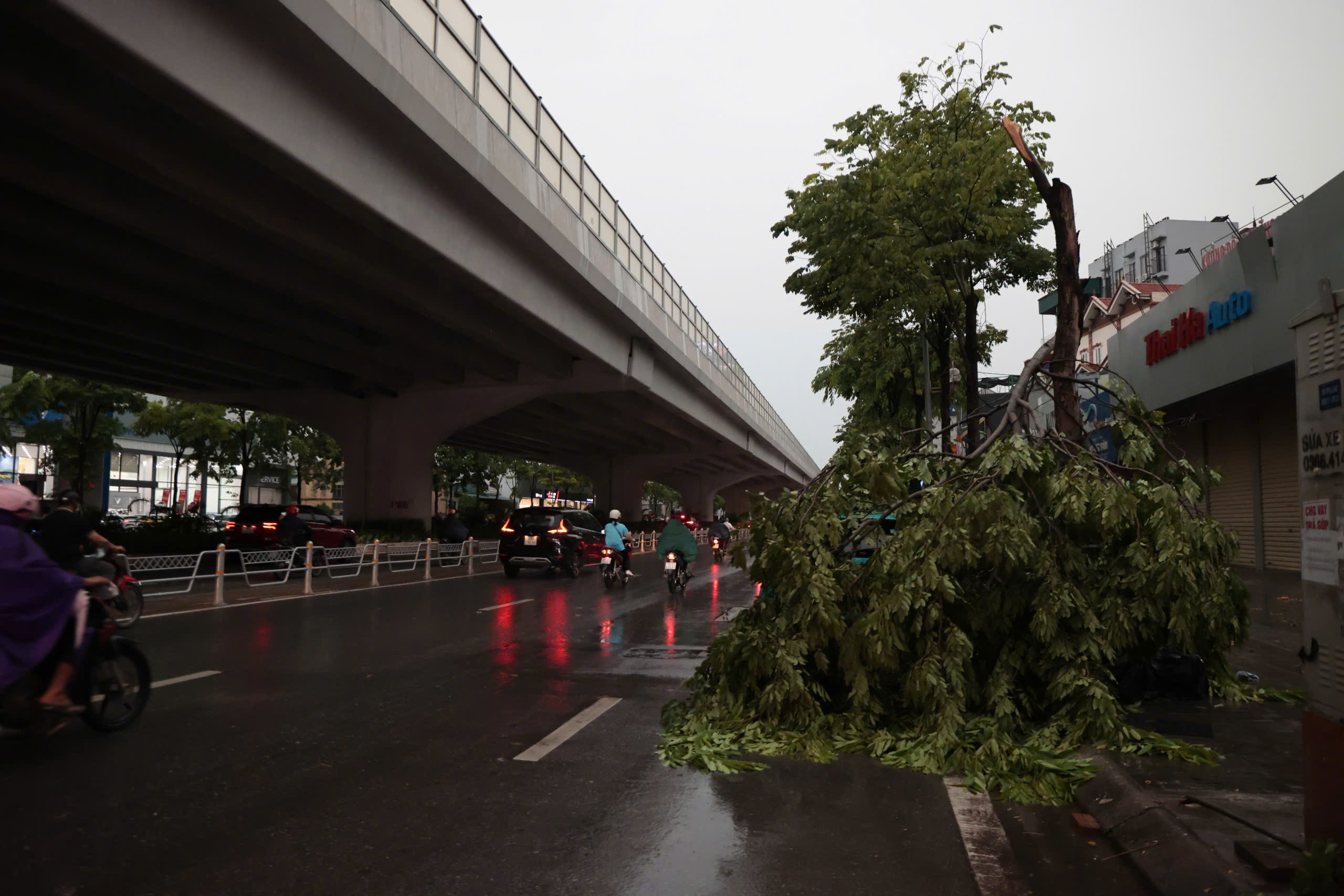 z68209772755860a0dfddf530f4c9a3c425741d2db9ba6