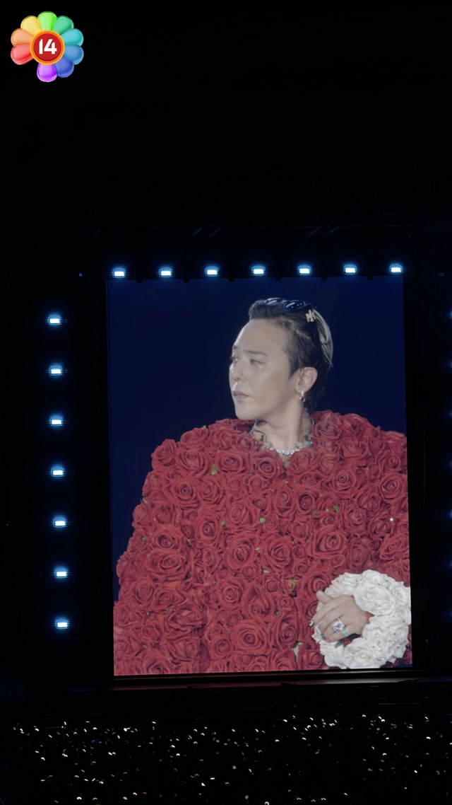 img36410001 17626091612691773018173