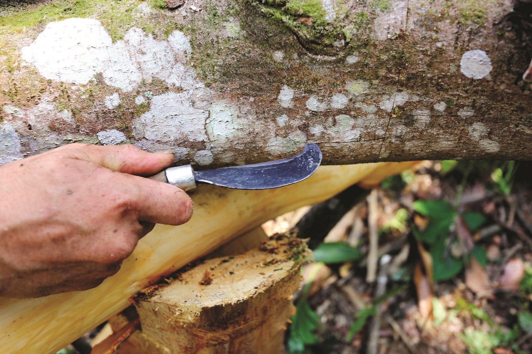 imagesbaoquangnamvn storage newsportal 2021 4 23 111217 tct 44576 01