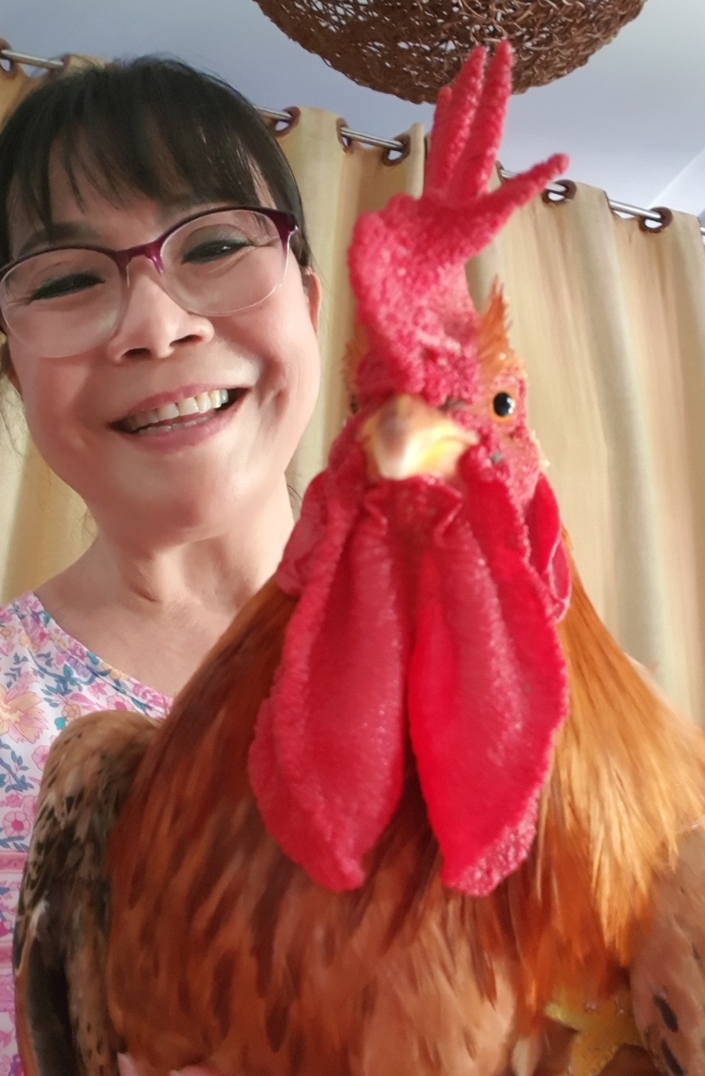 anh tuyet cham ga heo 21 2978 1684225956