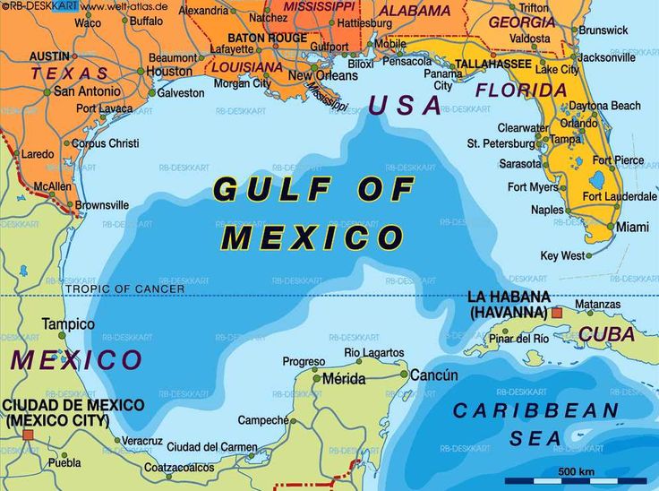 the gulf of mexico