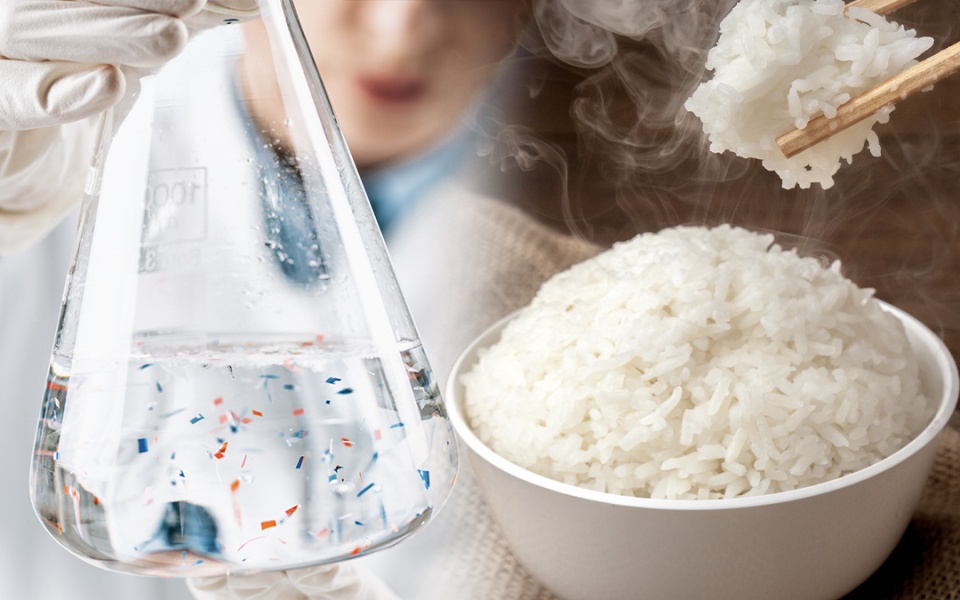 1620626431 rice microplastics edm 1686956971154644047219