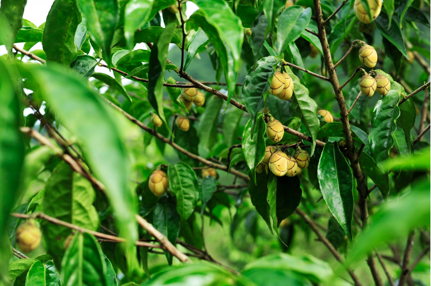 anh chup man hinh 2025 04 02 luc 113742