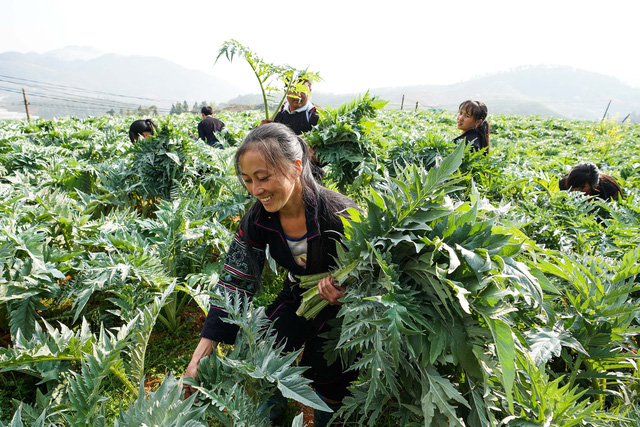 18 3 19nguoidansapadoidoinhoactiso6