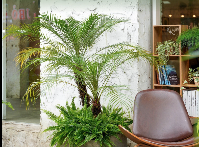 anh chup man hinh 2025 04 09 luc 111502