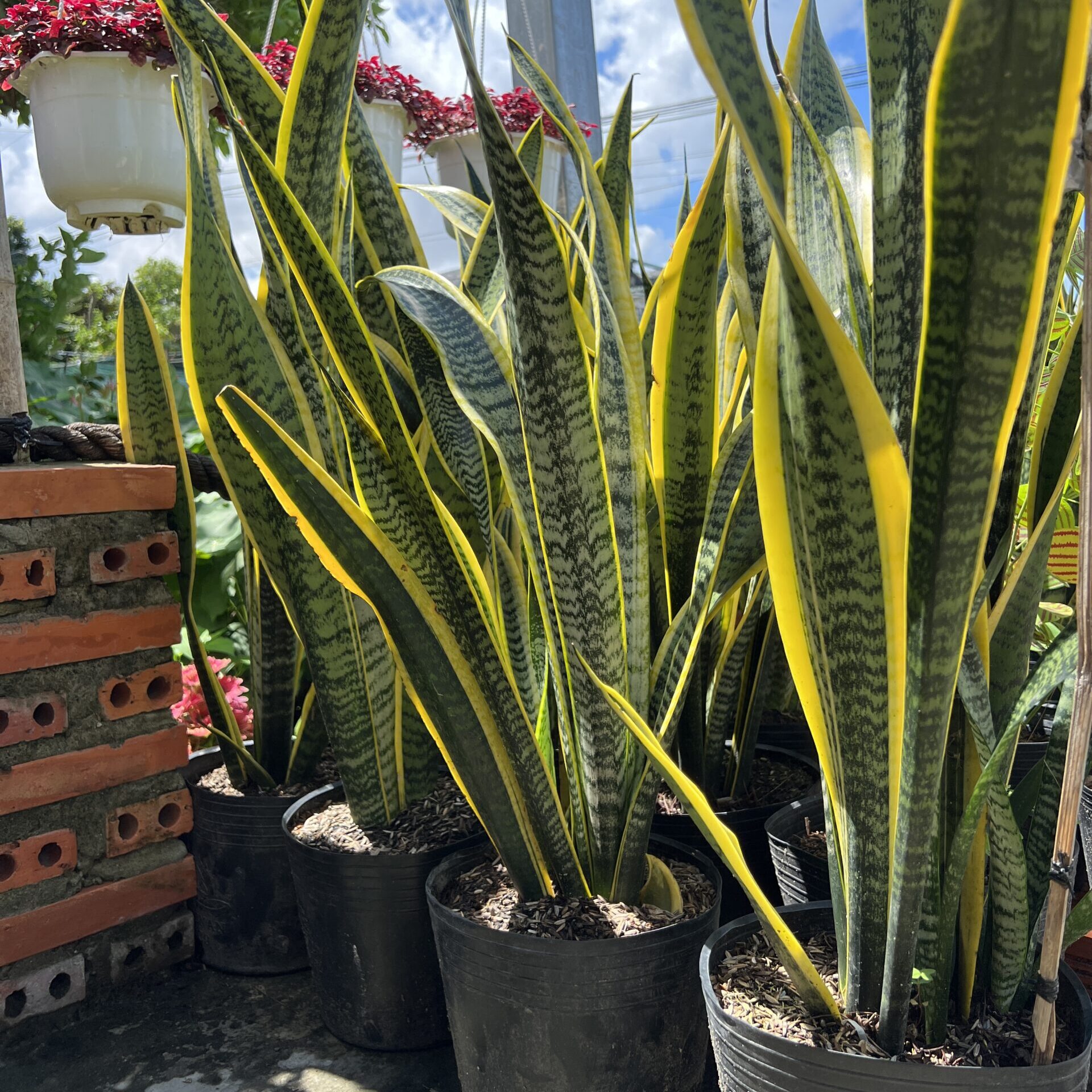 img9338 scaled e1723742760398