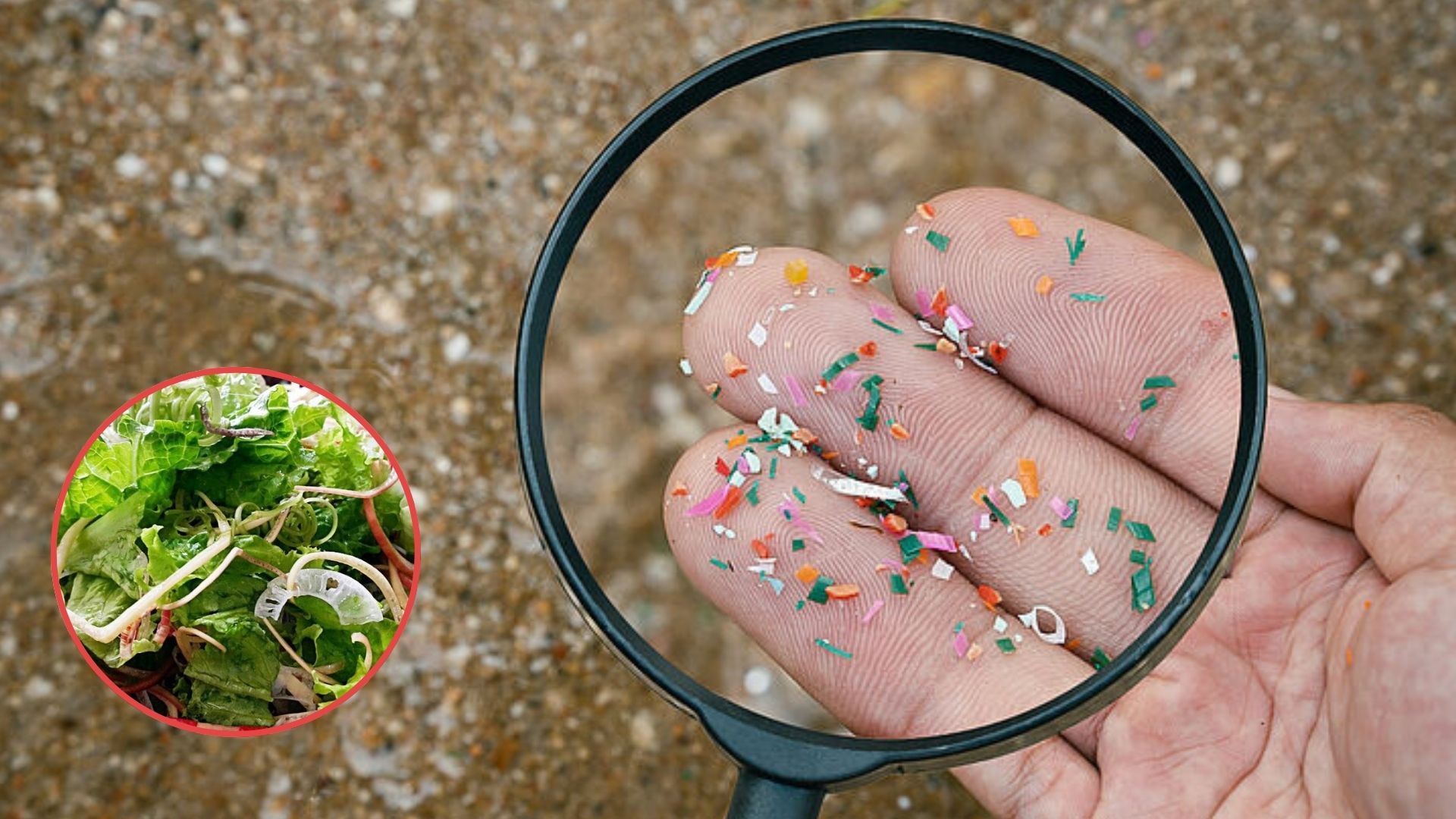 hat nano nhua co the truyen tu me sang thai nhi o chuot 53