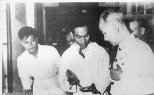 su nghiep y hoc ruc ro cua giao su