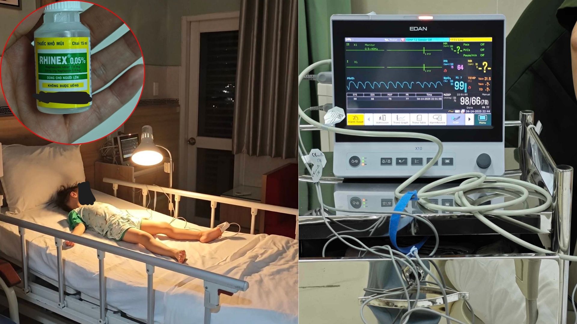 hat nano nhua co the truyen tu me sang thai nhi o chuot 54