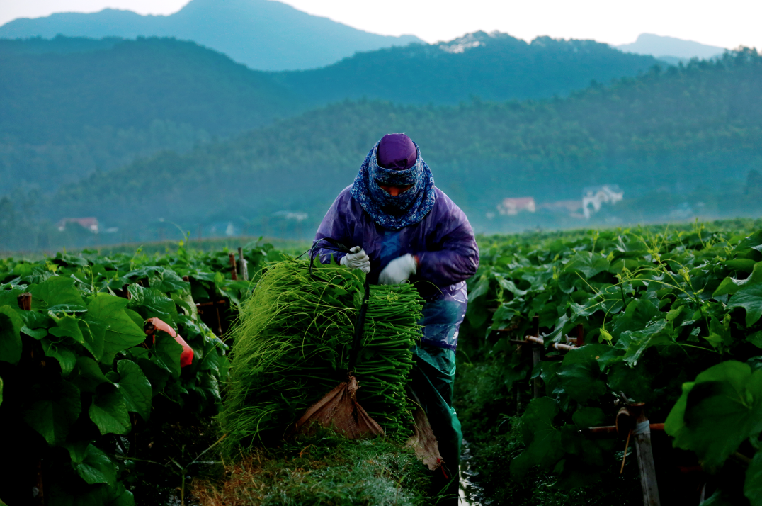 anh chup man hinh 2025 04 26 luc 103452