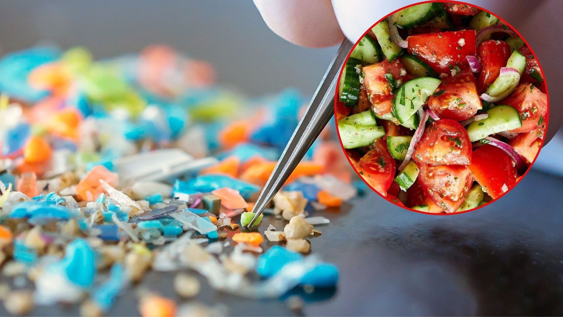 hat nano nhua co the truyen tu me sang thai nhi o chuot 30