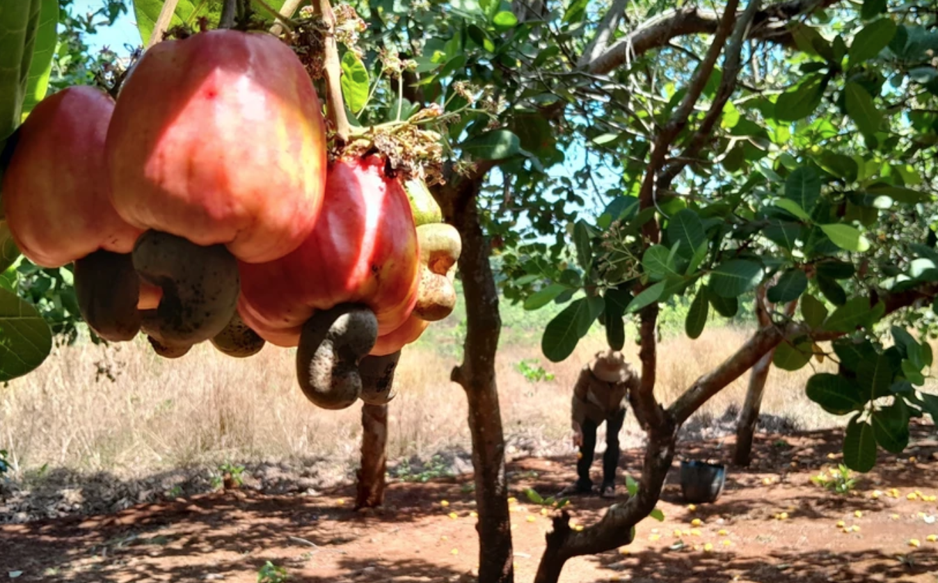 anh chup man hinh 2025 05 02 luc 150029