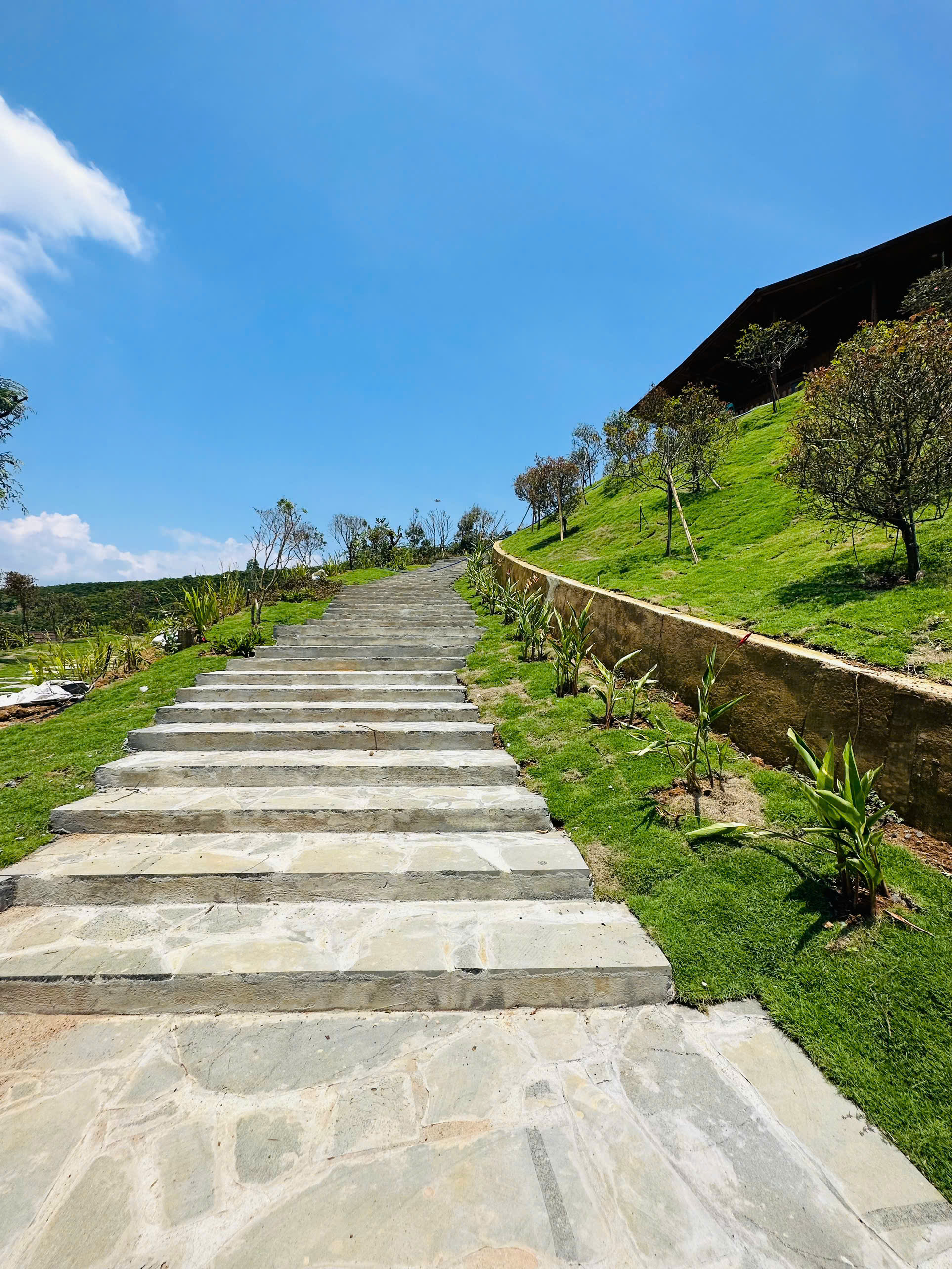 z6570508137458bc7488316518158f64bc201953755d80