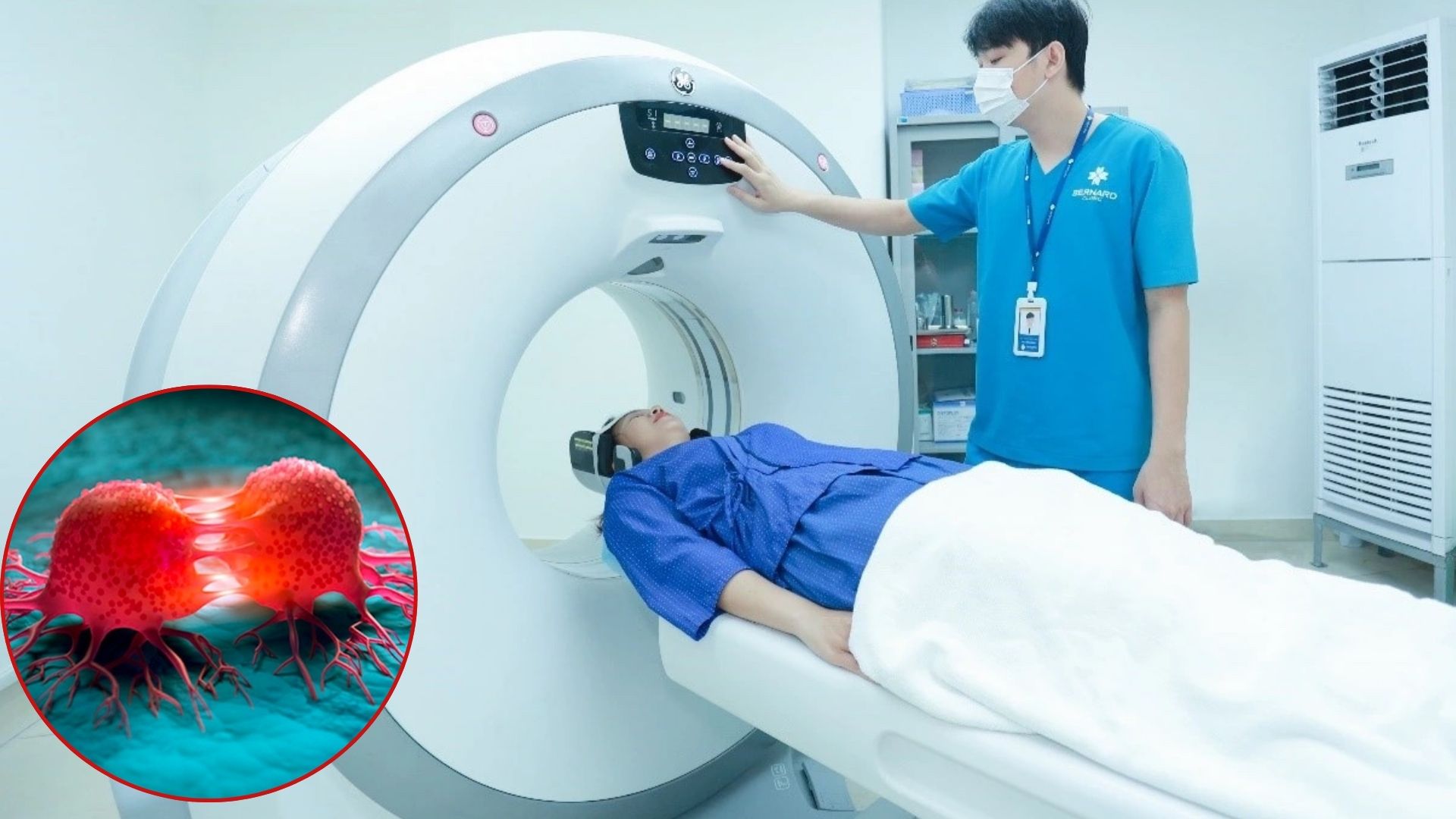 hat nano nhua co the truyen tu me sang thai nhi o chuot 1