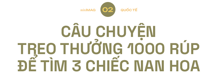 thuy dien hoa binh s2