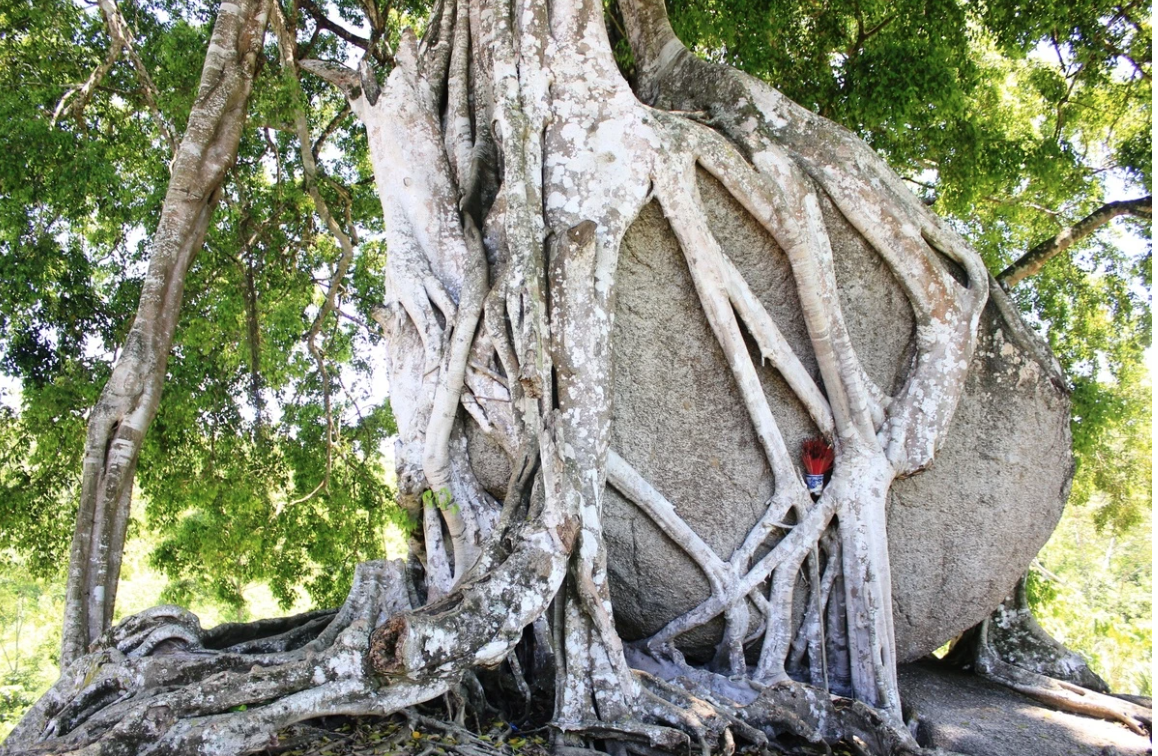 anh chup man hinh 2025 06 20 luc 142431