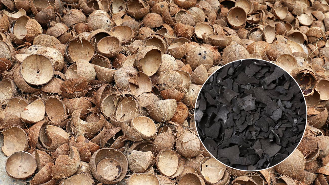 coconut shell and coconut shell charcoal coconut shell and coconut shell charcoal
