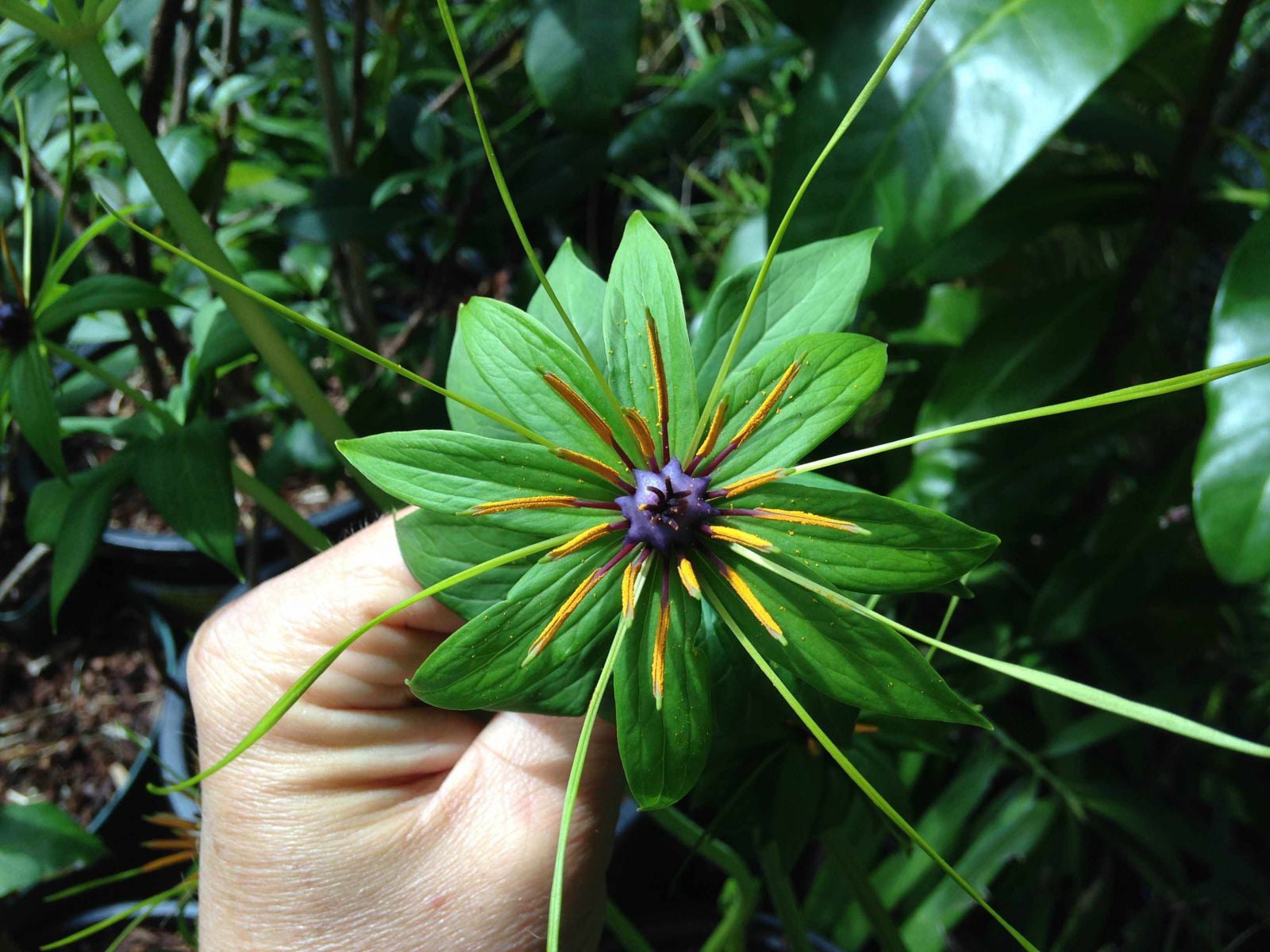 f56bec19 97f3 4b44 8a66 cbafb8d9d0d2