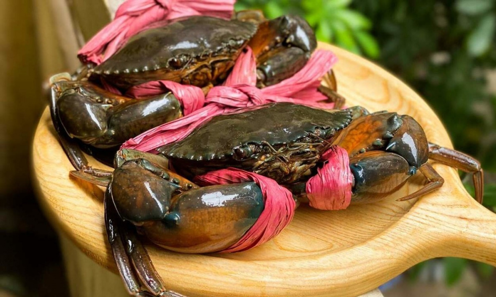 20250811082317980xuat khau cua ghe viet nam lap dinh tang truong ma 1598 1