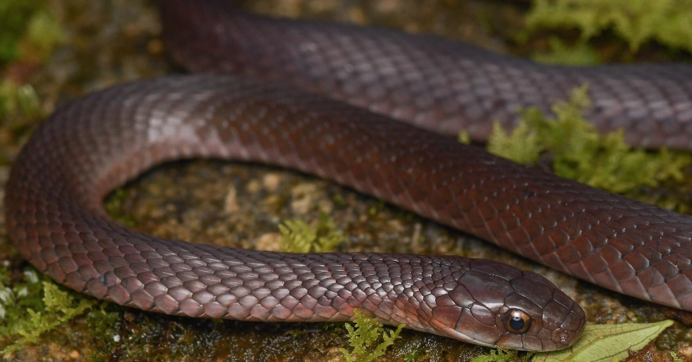 anh chup man hinh 2025 08 28 luc 112727