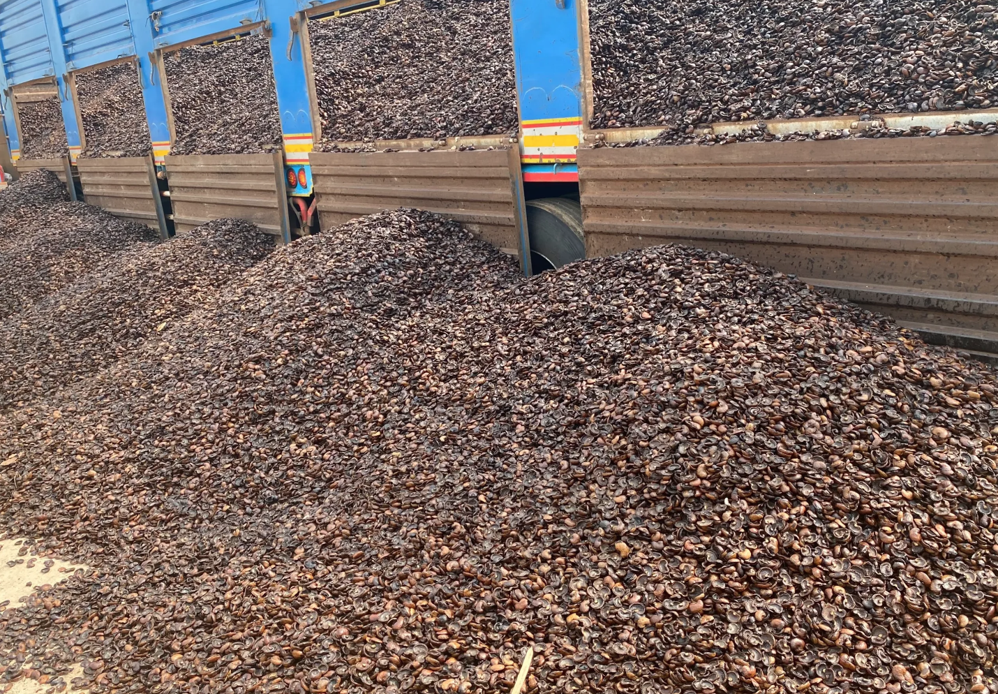 anh chup man hinh 2025 09 13 luc 154738