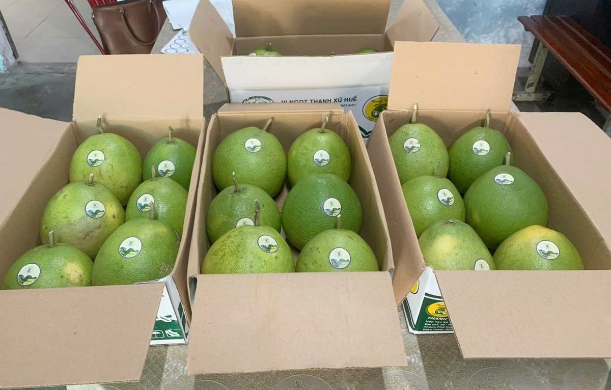 thanh tra hue 4 111118169 063647