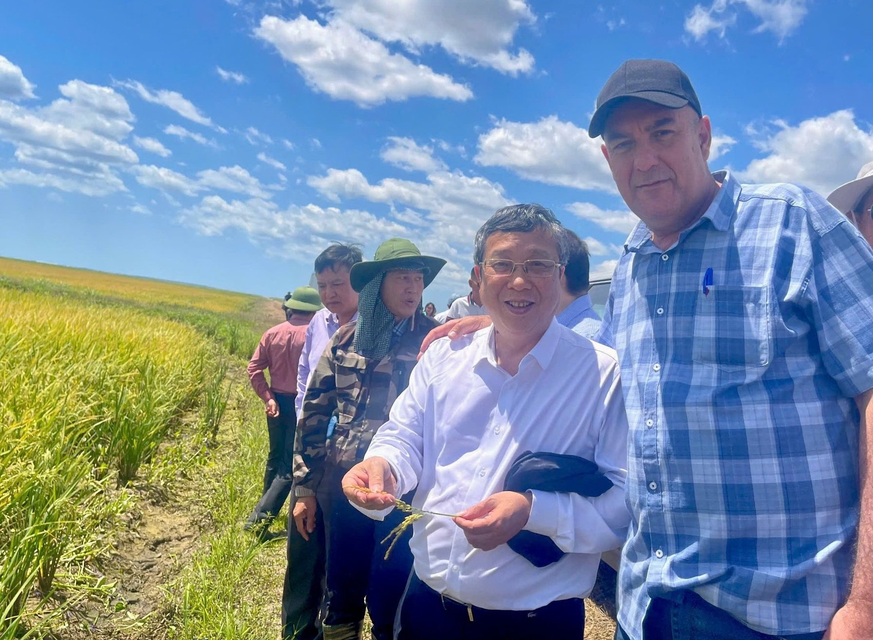 3105 viet nam cuba hop tac tien toi dam bao an ninh luong thuc 073031885