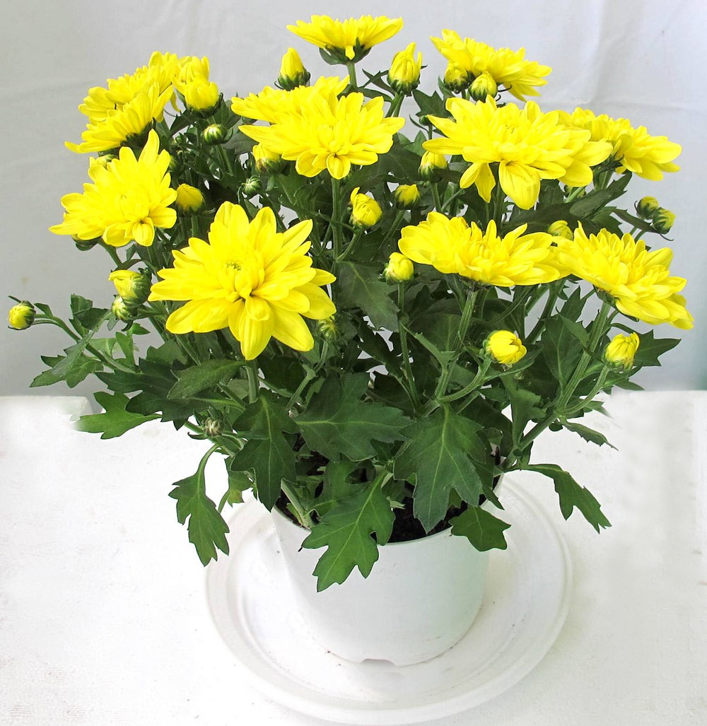 xhjuvueencvuvzg65hoz7lm2kr4dvmnquopj2ynbcexmisi4tqvrya0uudvrpl0pslkpycwxklyhq3f o5kp6qpkh tl8nf4sggiemvpp 1ndlut0unvgdrwvlg22thwap7vmhrl316vp6euxtv4y