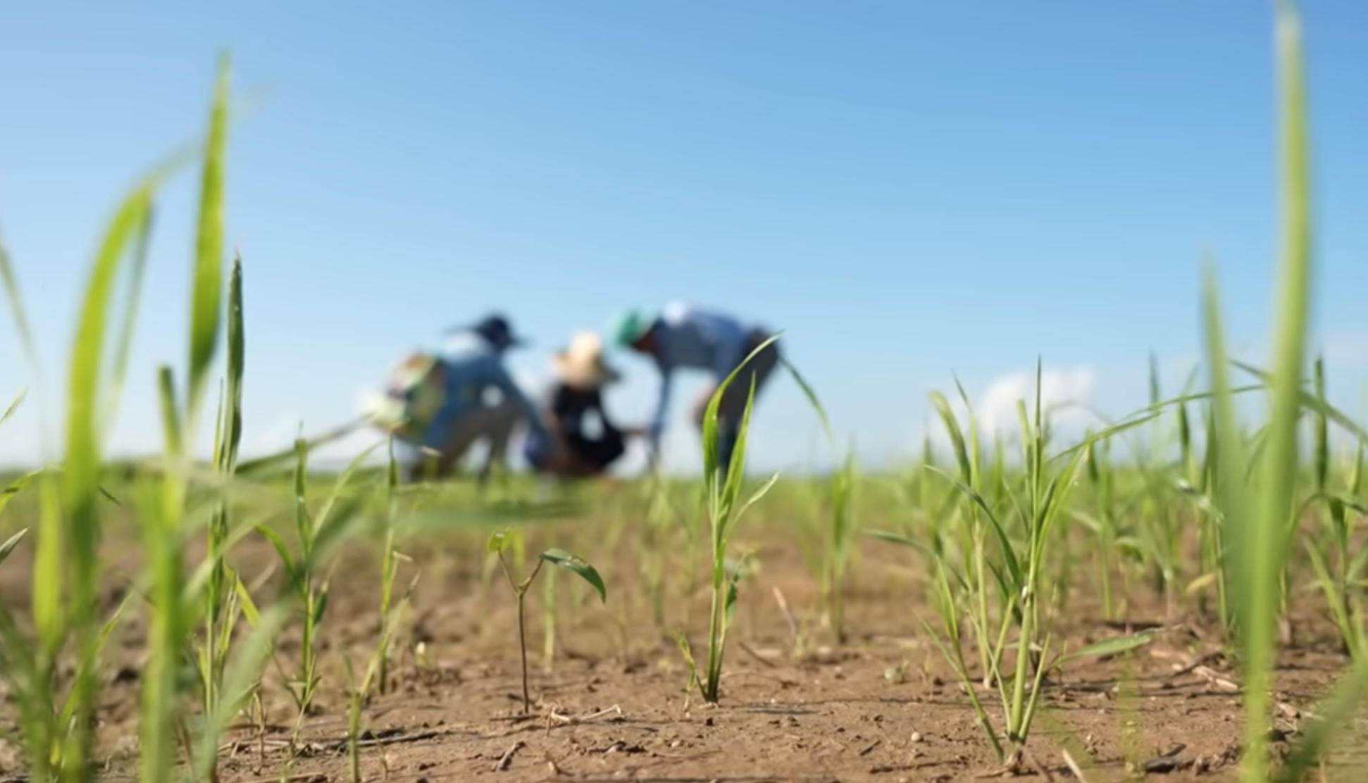 anh chup man hinh 2025 11 13 luc 100510