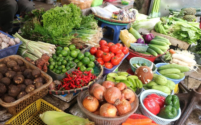 gia rau 1639990448362722297085 88 75 666 1000 crop 16399905043701783738318