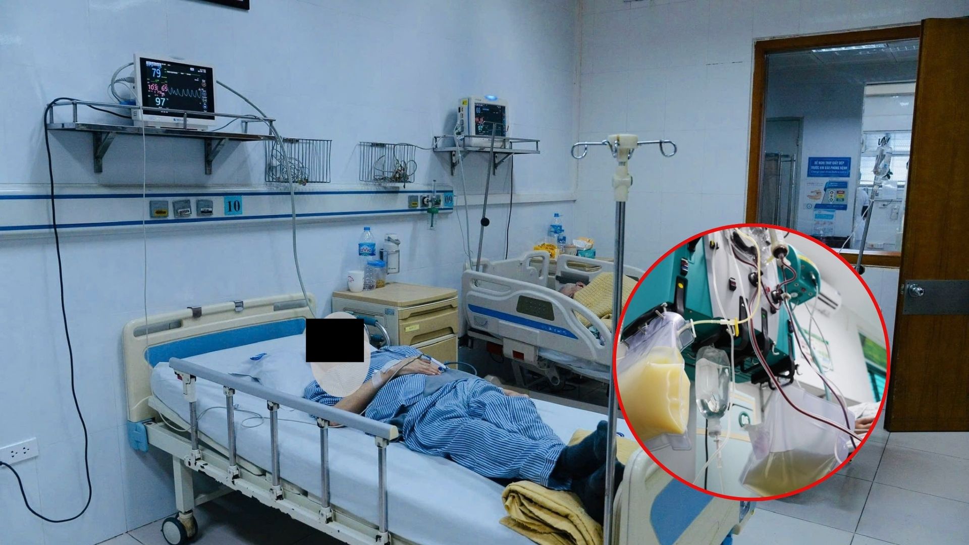 hat nano nhua co the truyen tu me sang thai nhi o chuot 1