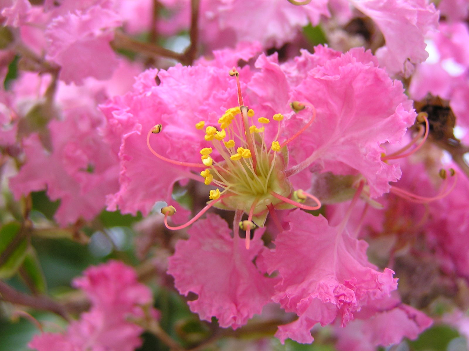 ed62e59aacdcc901d5e9a9394c5c01fe