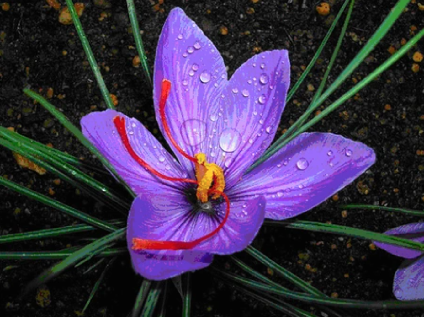 anh chup man hinh 2025 11 26 luc 144948